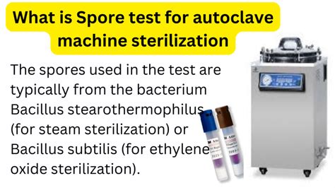 dry heat autoclave spore test|spore testing incubation temperature.